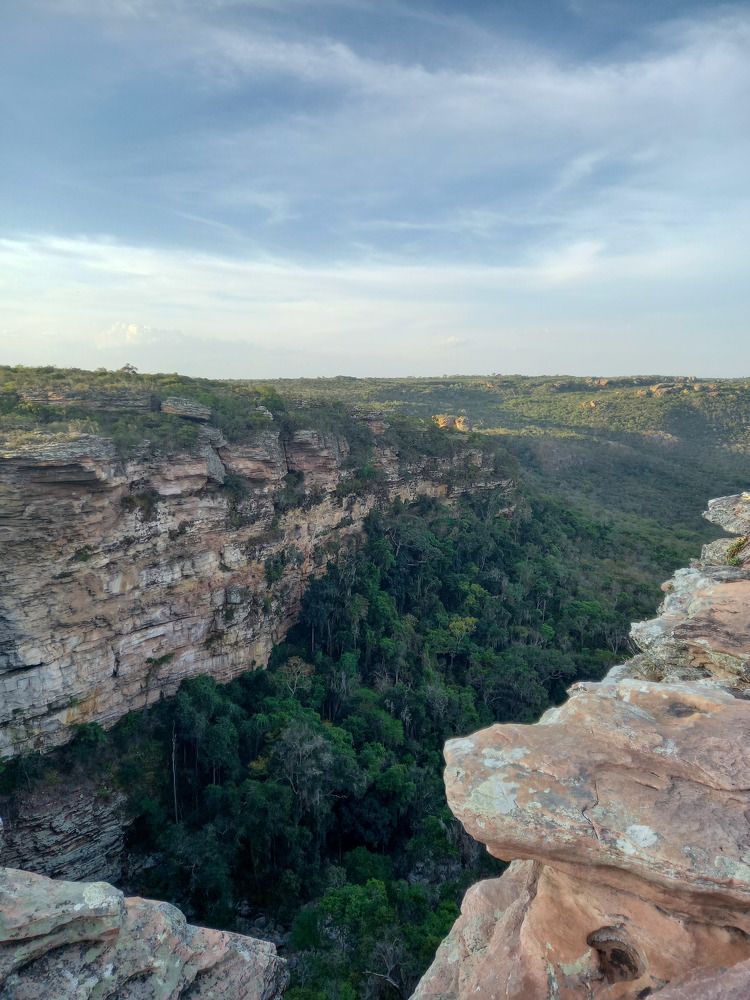 Photograph by Antonio Alves de Oliveira Neto