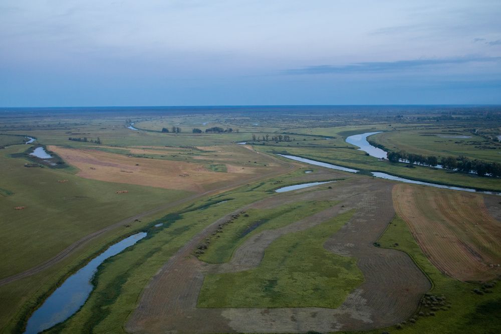Photograph by Сергей Витвицкий