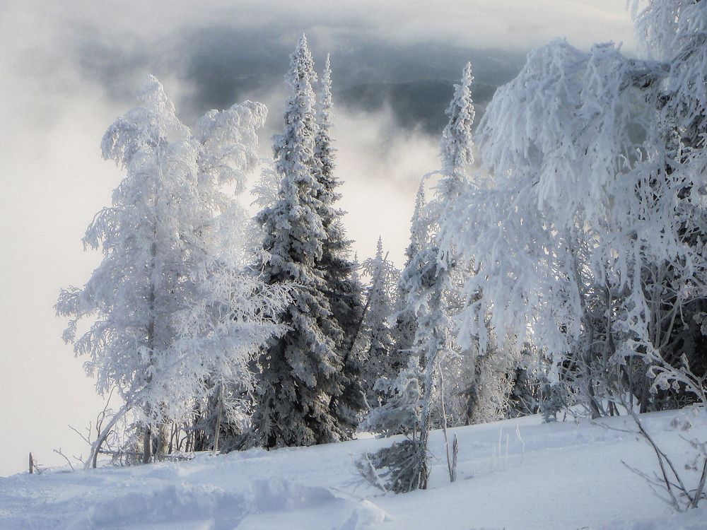 Photograph by Gunter Graiss