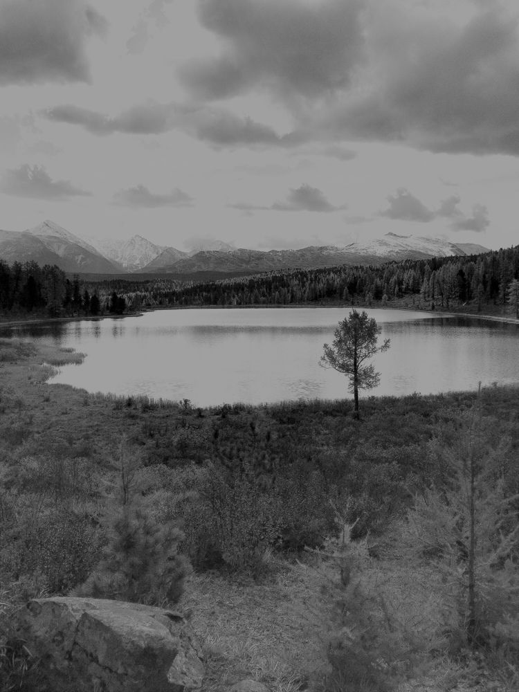 Photograph by Елена Павлова