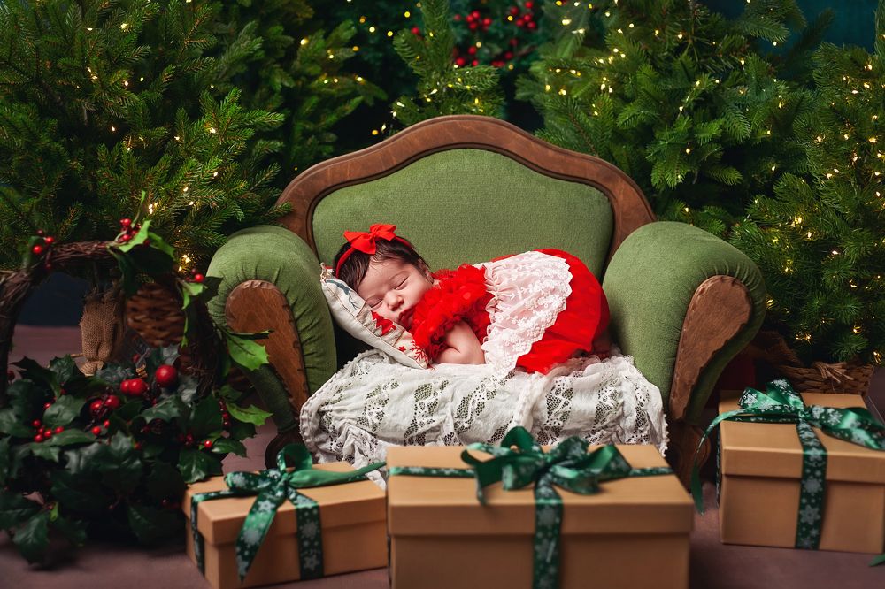 Фотография автора Ману Фалько