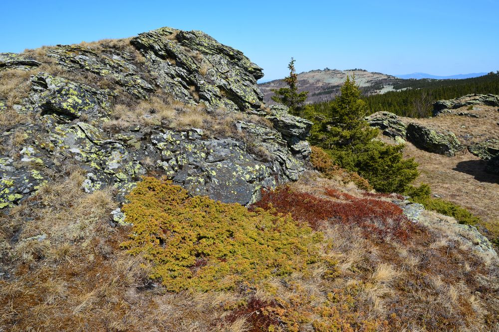 Яркая палитра