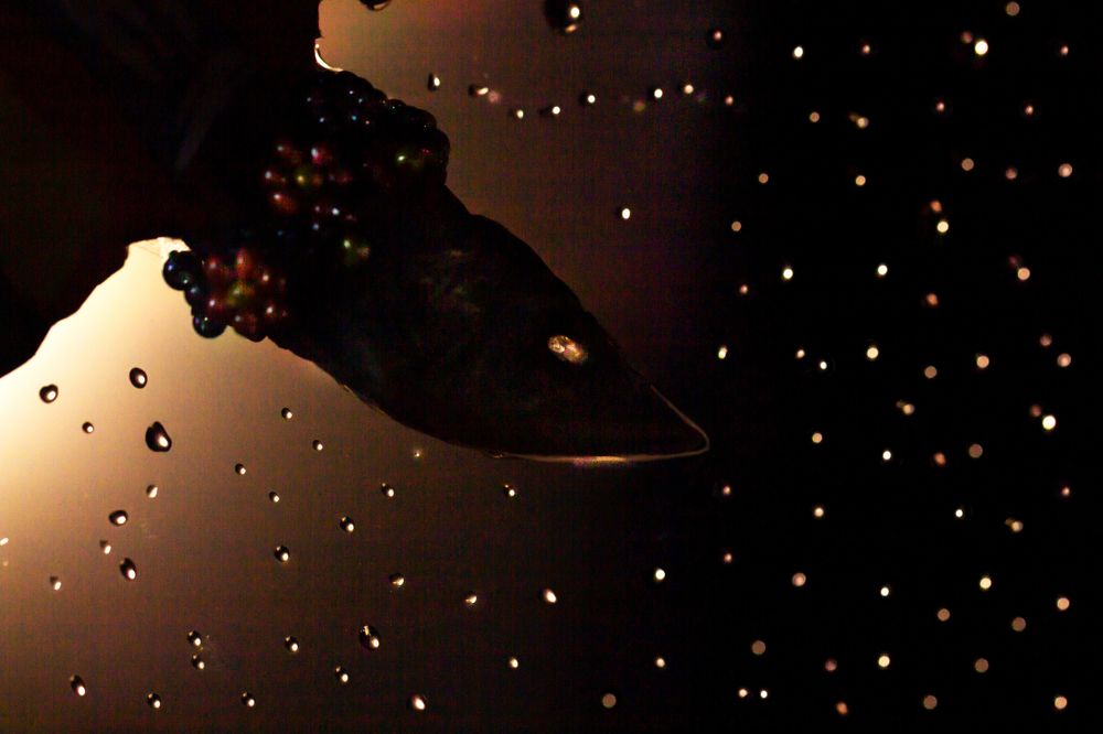 Photograph by Тамара Морозова