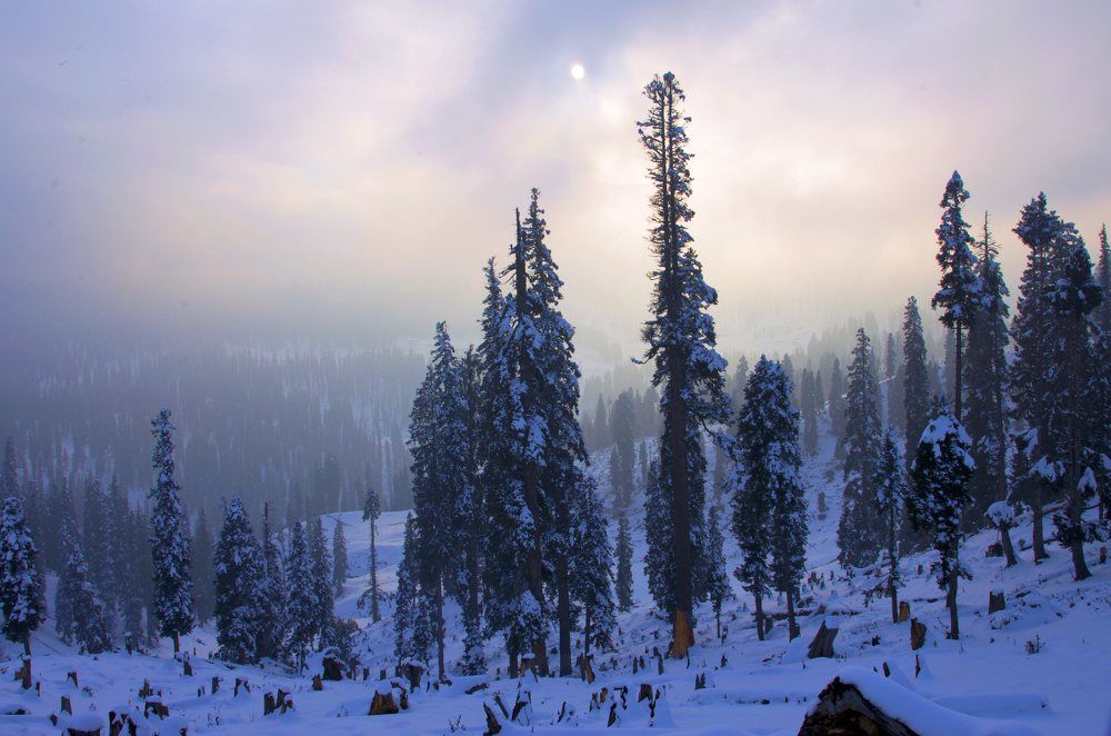 Фотография автора Afzal Khan