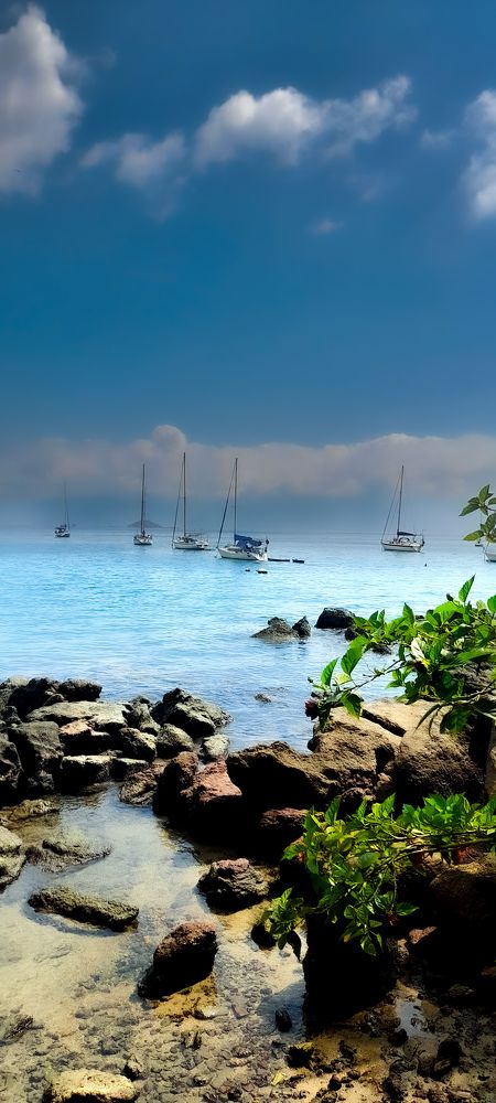 Photograph by Meire Costa