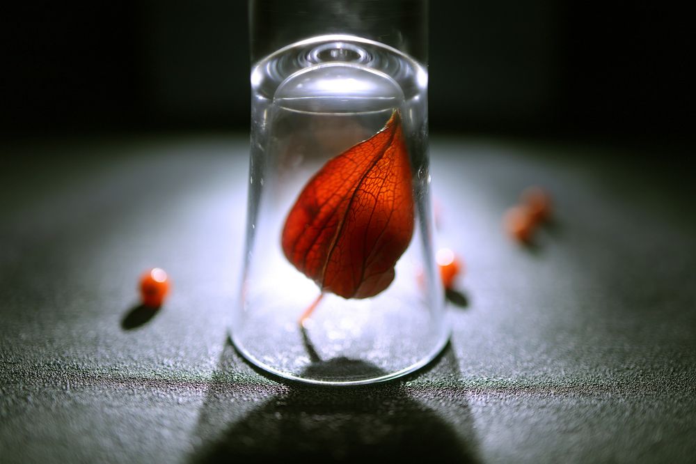 Photograph by Наталья Адалинская