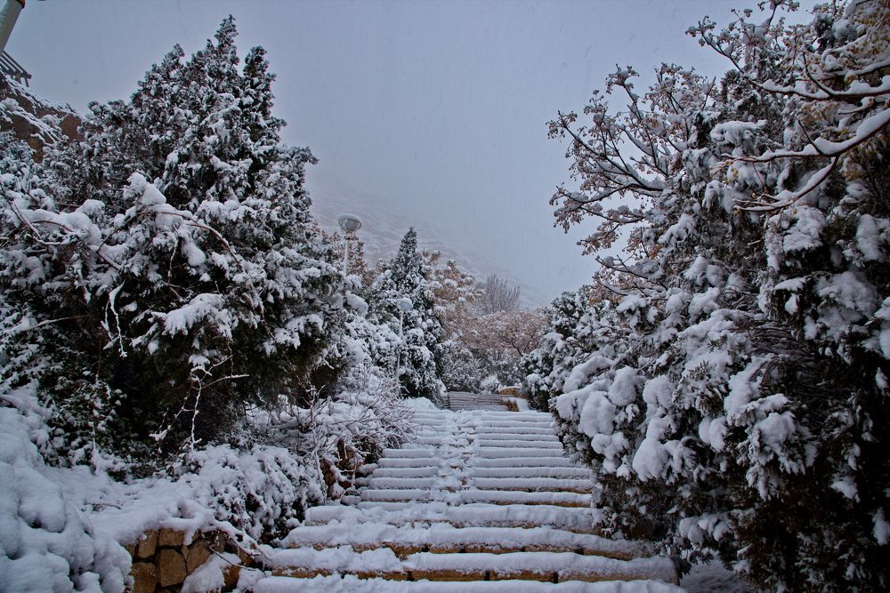 Фотография автора k_aghadavoodi