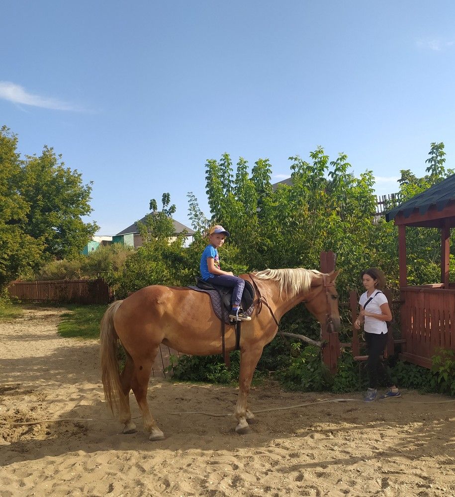 Фотография автора Елена Александрова