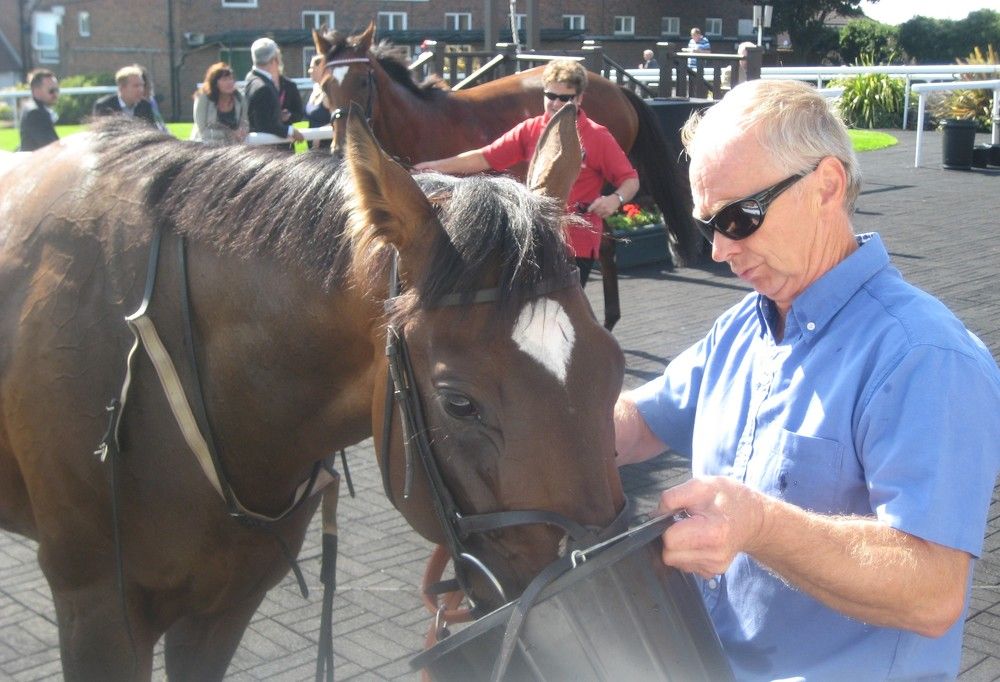 Фотография автора Елена Александрова