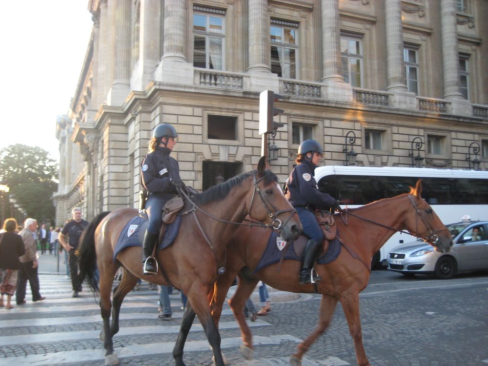 Фотография автора Елена Александрова