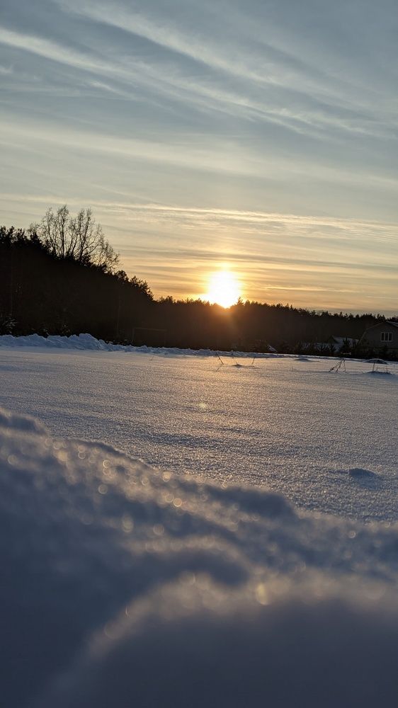 Фотография автора Васильева Ирина