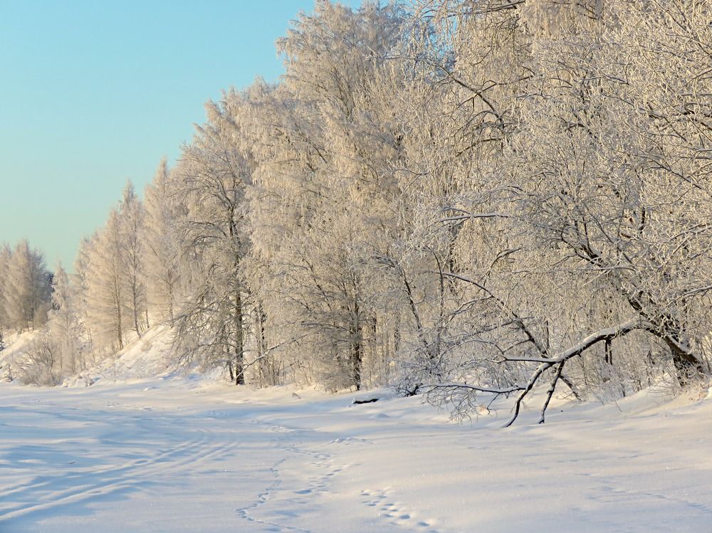 Photograph by Галина Пименова