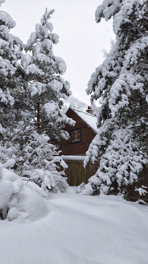 Photograph by Мария Федорова