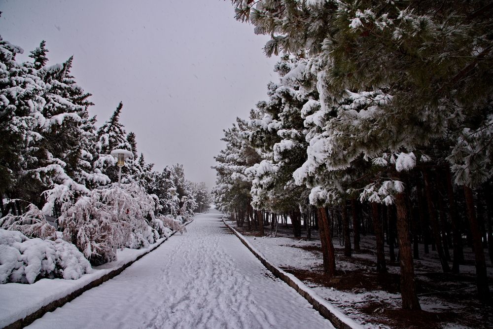 Фотография автора k_aghadavoodi