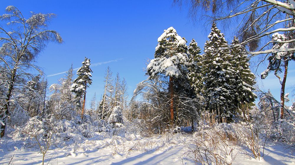 Фотография автора Михаил Крюков