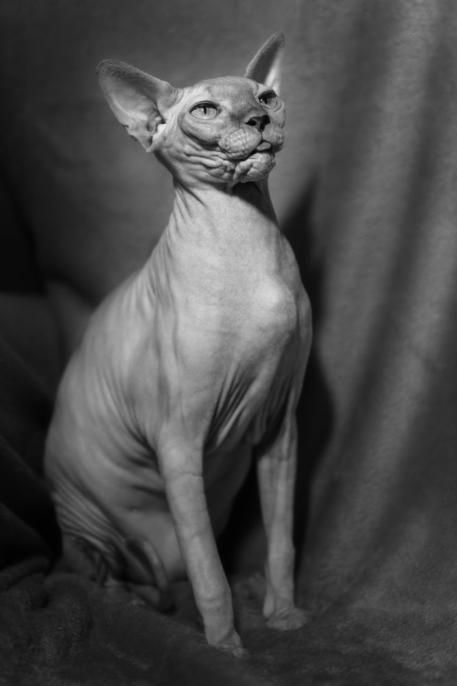 Фотография автора Павел Тимошенко