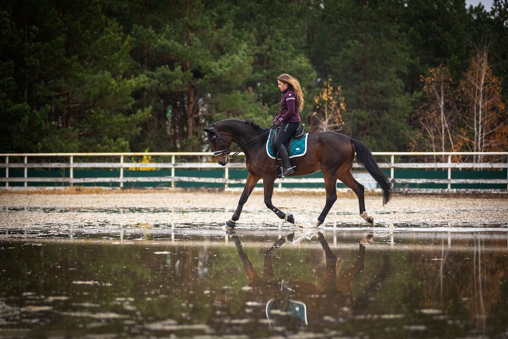 Photograph by Наталья Романова