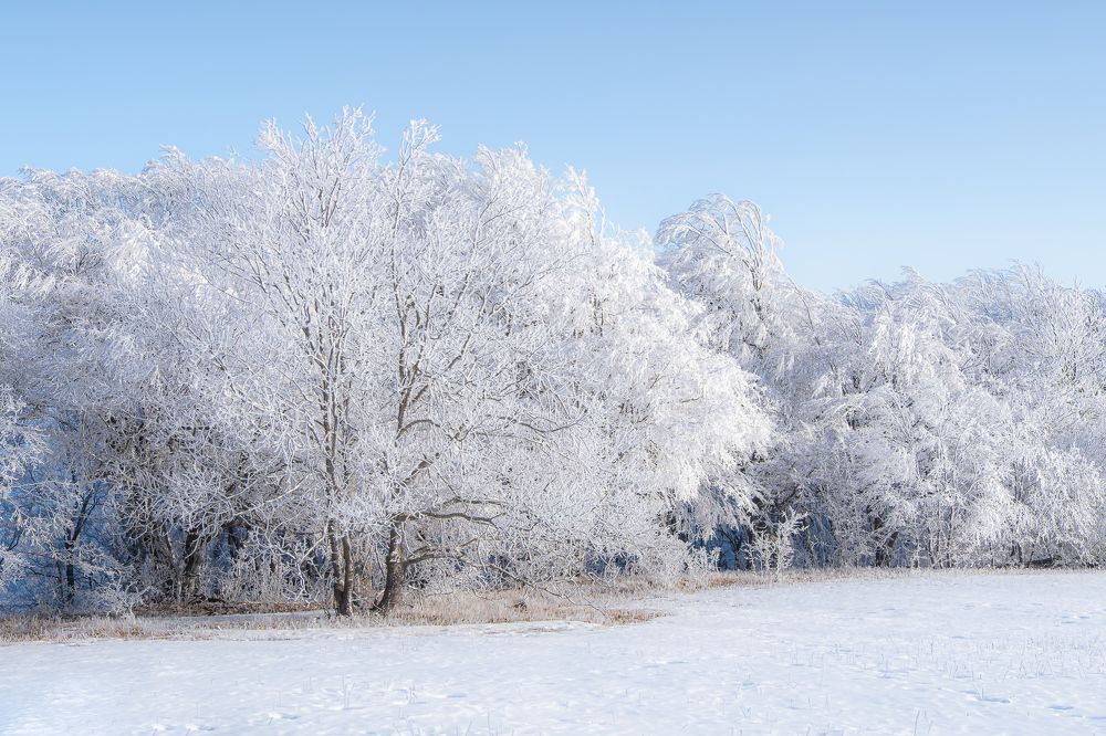 Photograph by Dmitry Ishniyazov