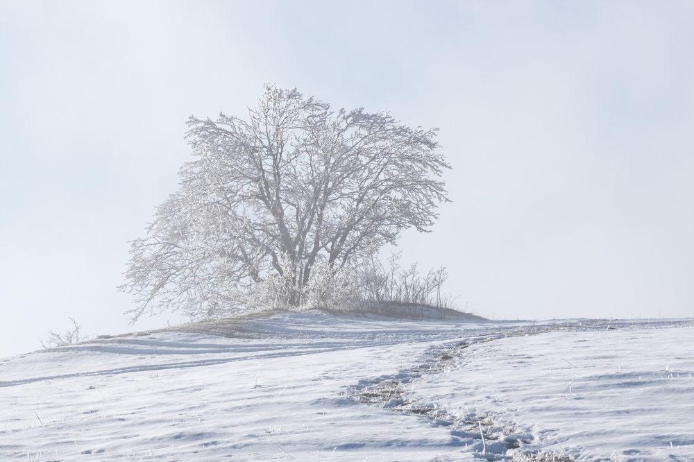 Photograph by Dmitry Ishniyazov