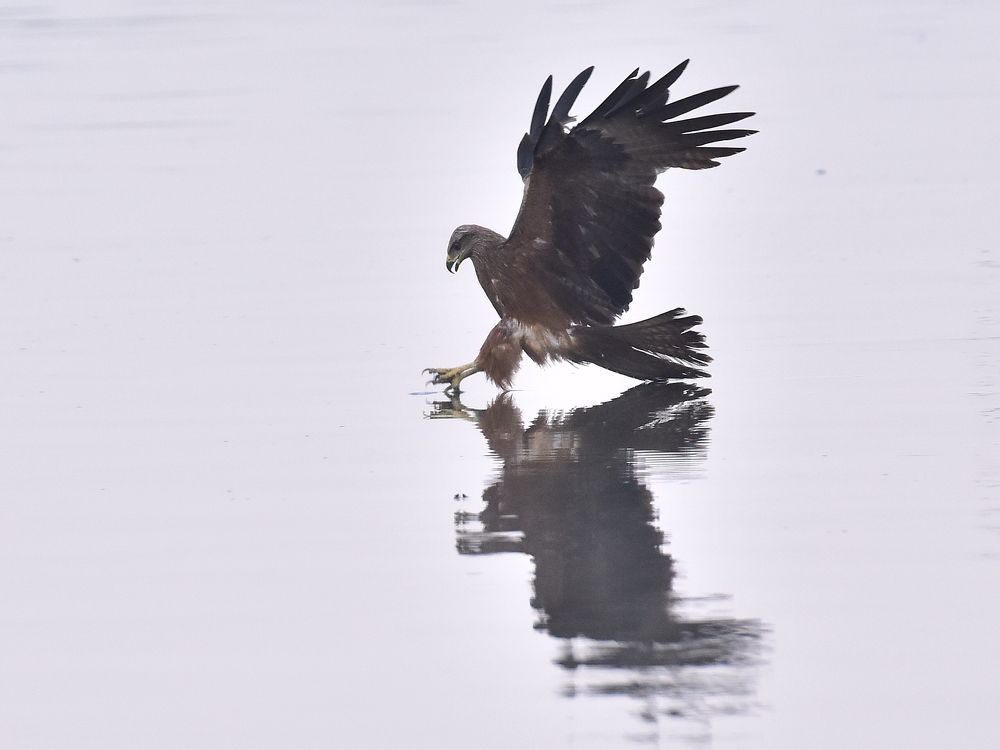 Photograph by Николай Абакумов