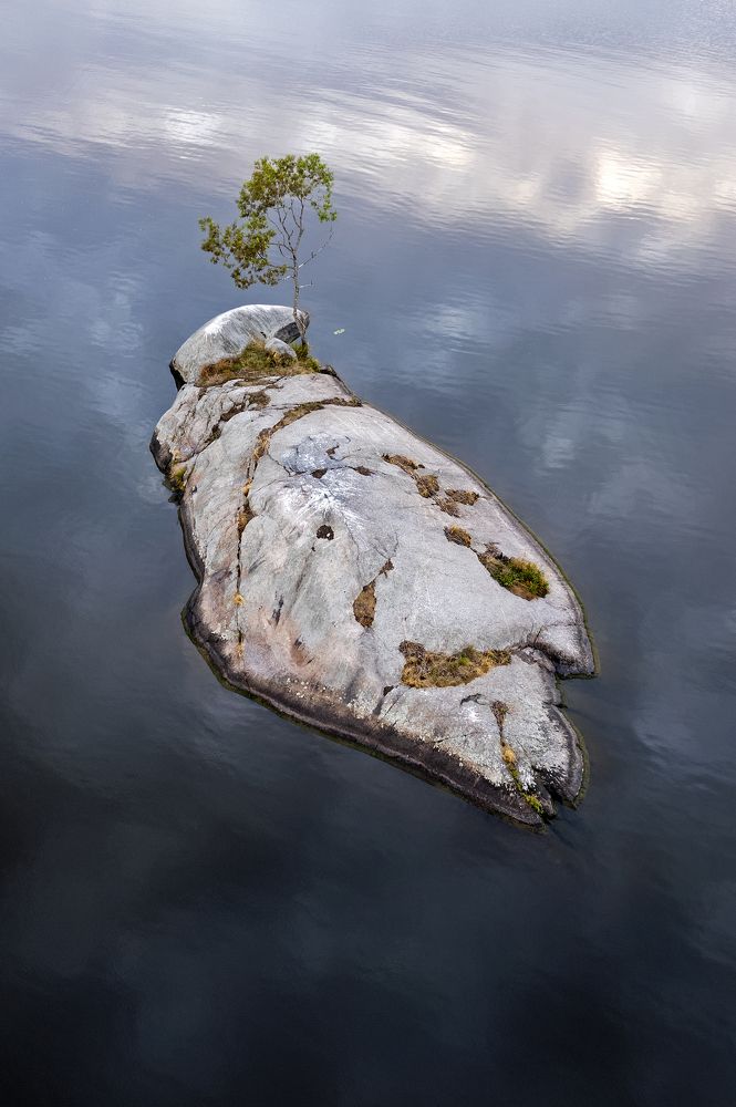 Photograph by Александр Бондаренко