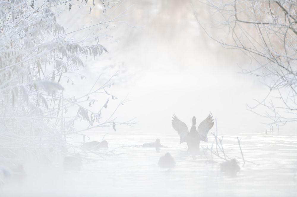 Photograph by Вера Жданова
