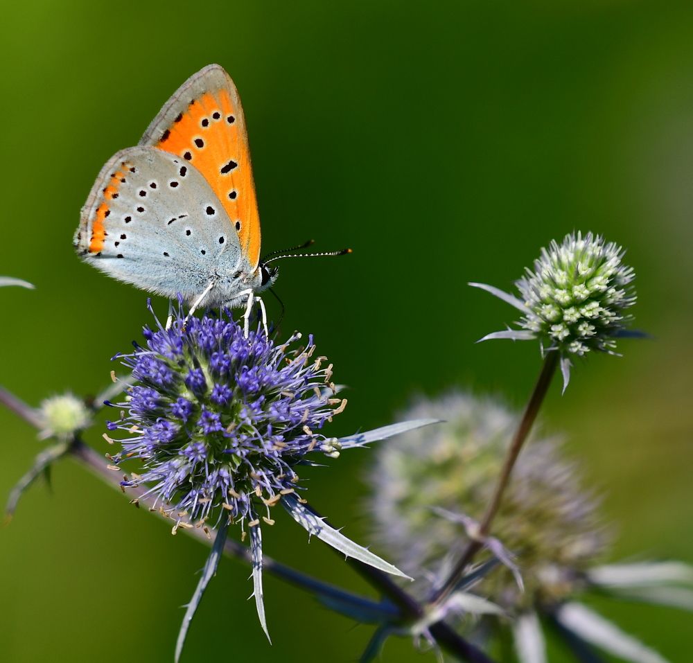 Photograph by Николай Абакумов