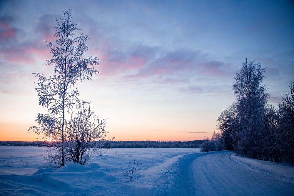 Фотография автора Станислава Гордеева