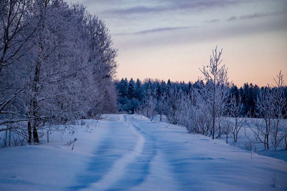 Фотография автора Станислава Гордеева