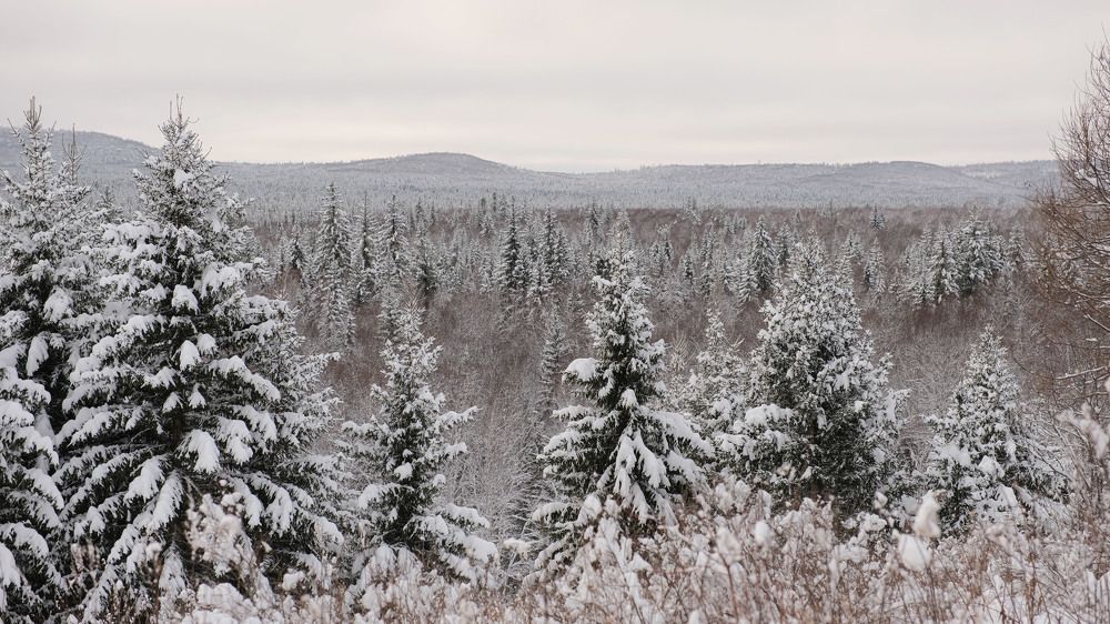 Photograph by Оксана Батракова