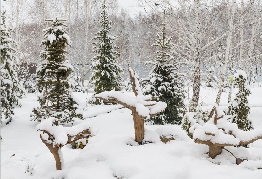 Photograph by NADEZHDA PELYMSKAIA