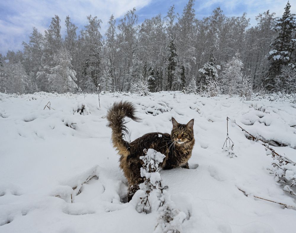 Photograph by NADEZHDA PELYMSKAIA