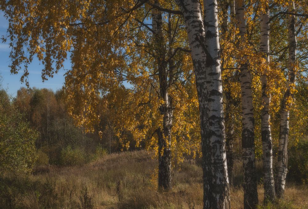 Photograph by Cергей Черныш