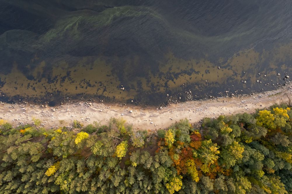 Photograph by Александр Бондаренко