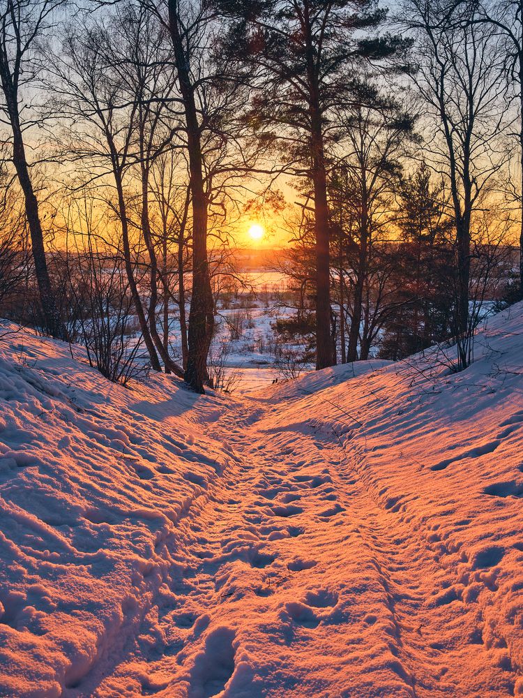 Photograph by Дмитрий Дыбов