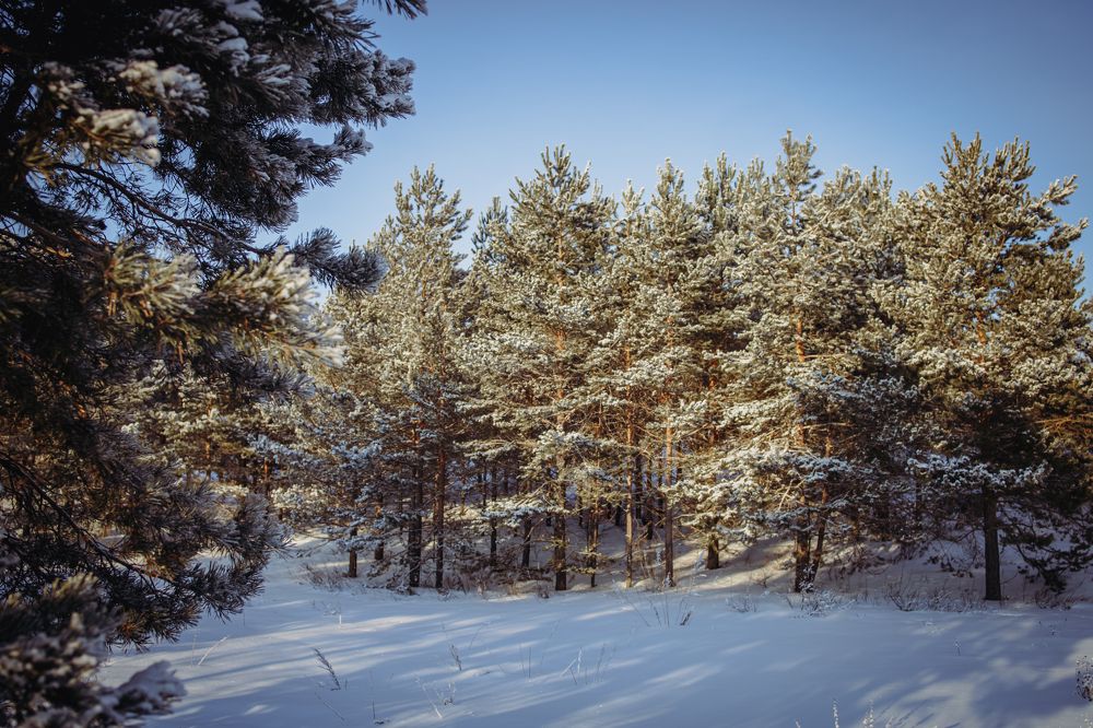 Photograph by Александра Фролова