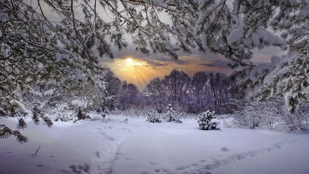 Photograph by Людмила Железнова