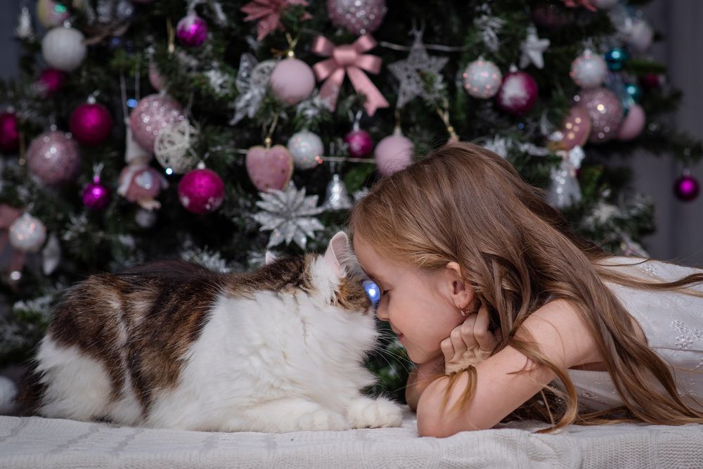 Photograph by Екатерина Рычкова