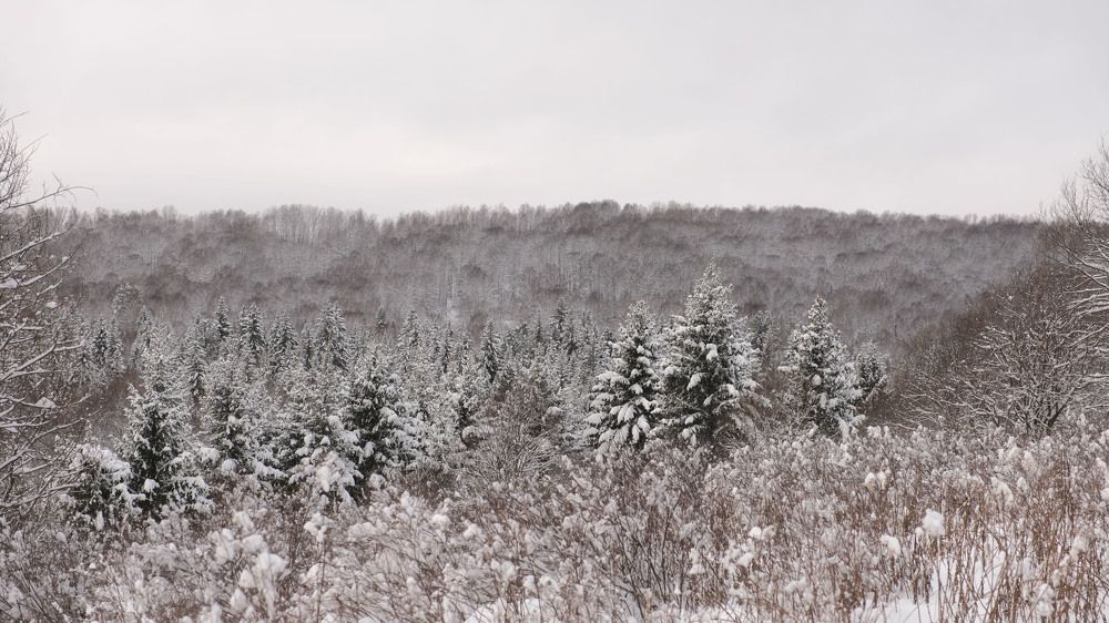 Photograph by Оксана Батракова