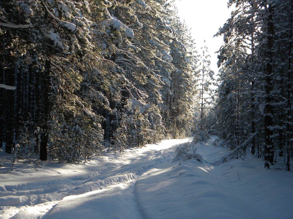 Photograph by Игорь Максимов