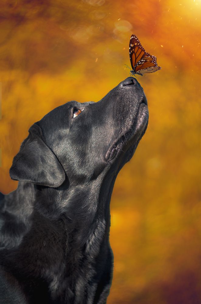 Photograph by Холудеев Виктор