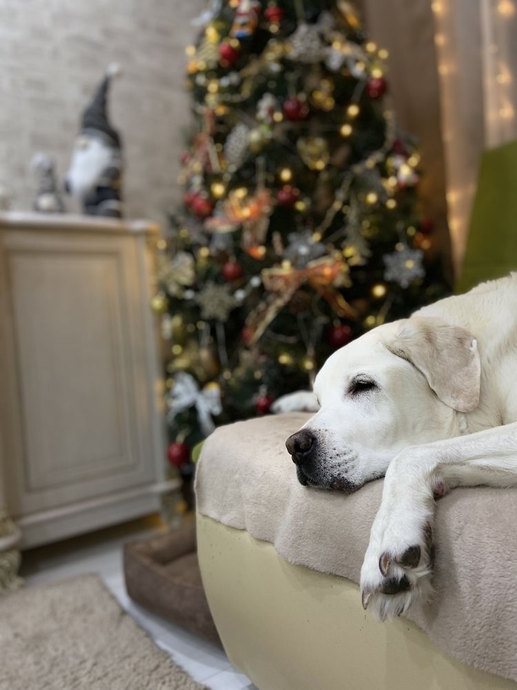 Photograph by Наталья Душакова