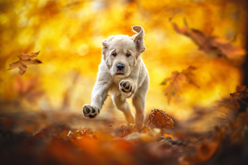 Photograph by Laura Quandt