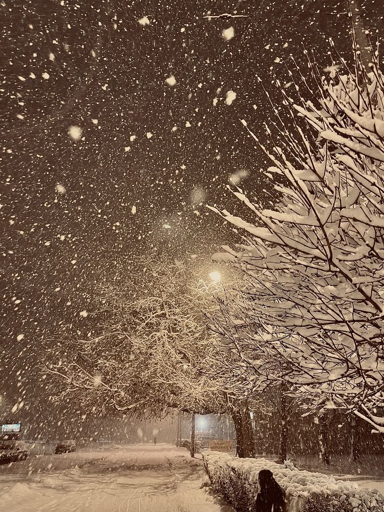 Photograph by Veronika Vilima