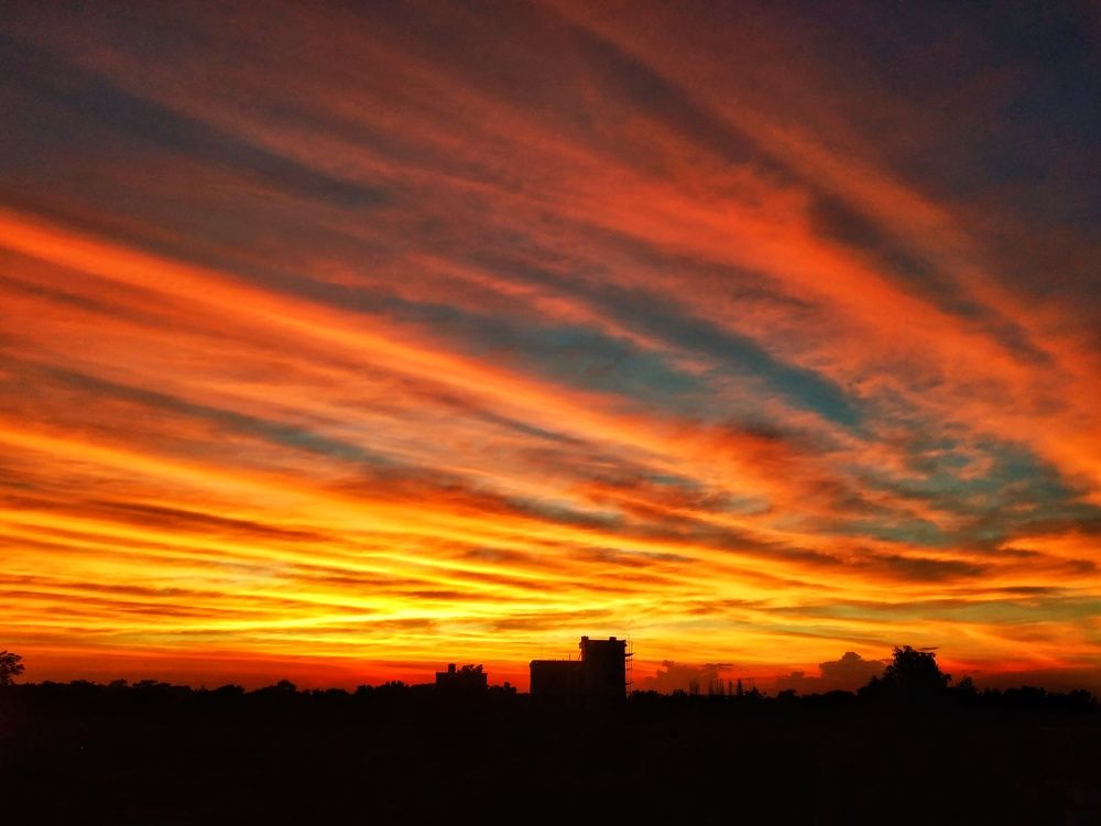 The Sunset