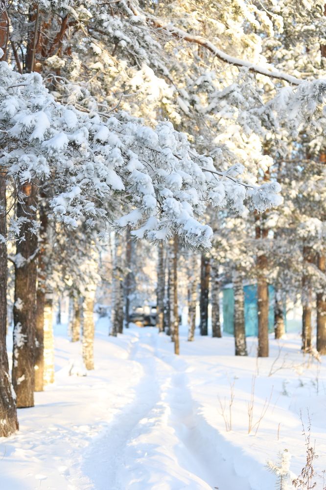 Photograph by Светлана Семакина