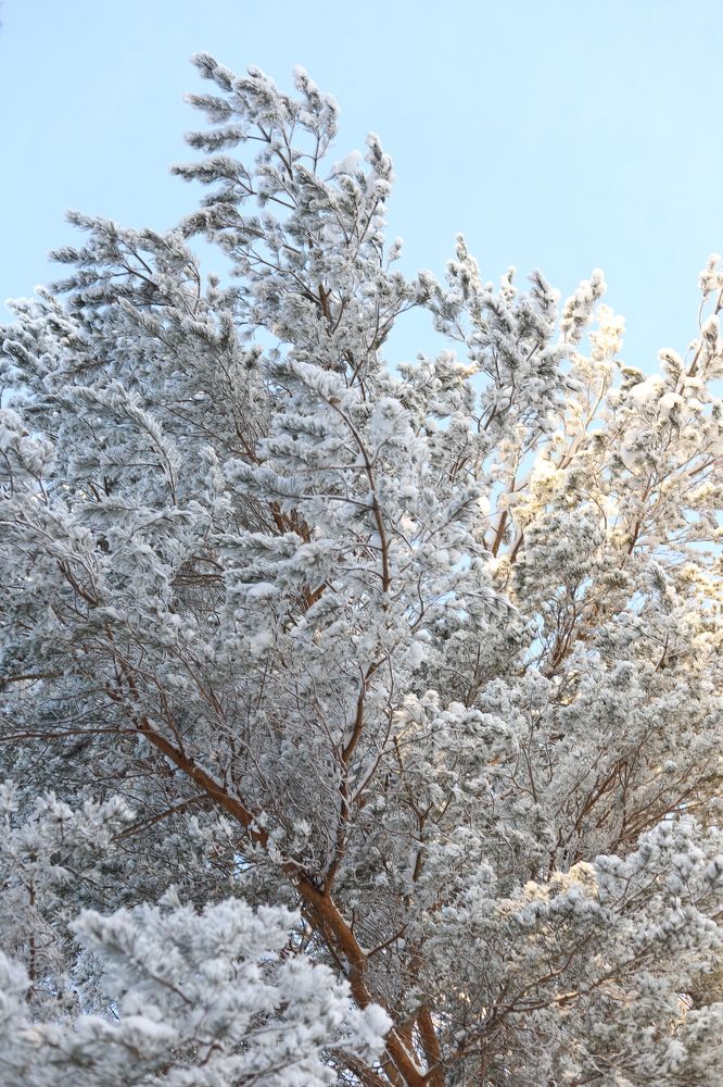 Photograph by Светлана Семакина