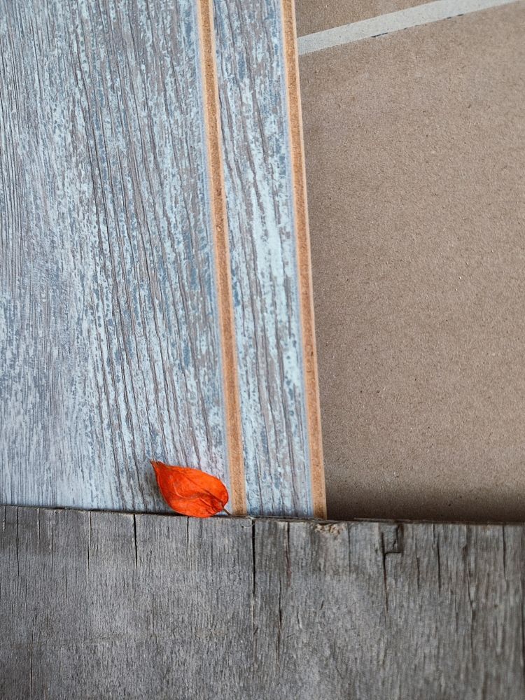 Photograph by Galina Novichkova