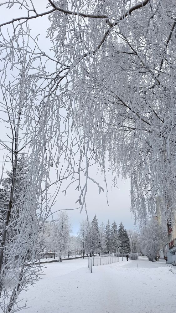 Photograph by Людмила Щуцкая