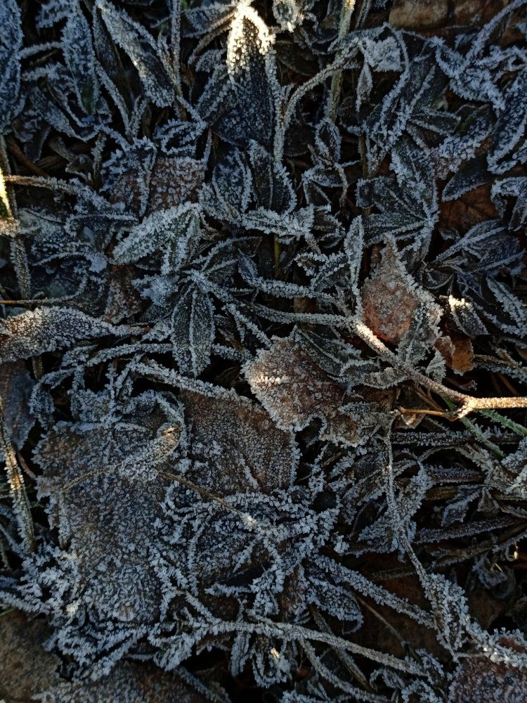 Photograph by Ольга Лемегова